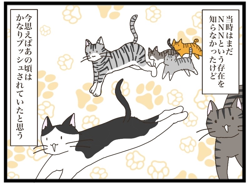 NNNからの使者②【NNNにロックオンされています】 : 猫の手貸して