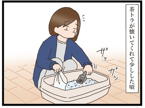 茶トラの人馴れ⑧【NNNにロックオンされています】 : 猫の手貸して