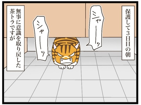 どらにゃん ウルトラニャン」限定商品が「猫の日」に合わせてツブラヤストアONLINE