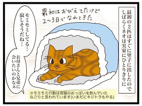 910D8D58-E0D6-417D-8584-FFDA802643C3