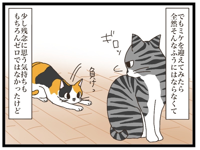 NNNからの使者⑥【NNNにロックオンされています】 : 猫の手貸して