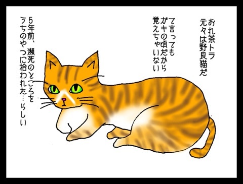 {670ED0B8-C81A-443F-A7CB-A820459BBACE:01}