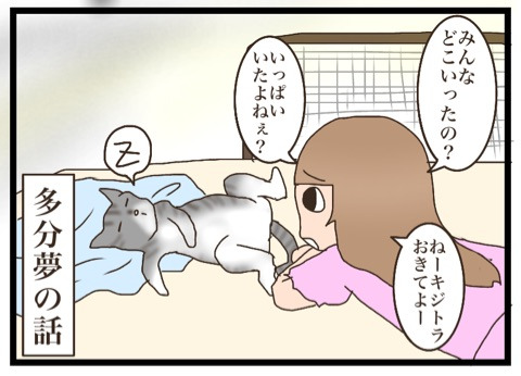 {6C0D6AC7-F41E-459F-BBE0-AB094E9F3502}