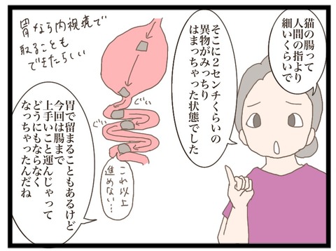 4495FF47-56E5-4DC1-A269-20B321582178