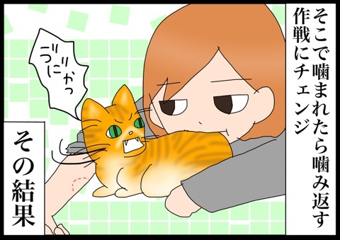 茶トラ編19 噛みグセの行方 猫の手貸して Powered By ライブドアブログ