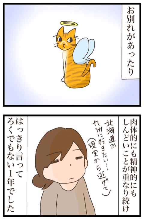 {FD606D8F-417B-4DC7-BF3F-589148FA4FCC}