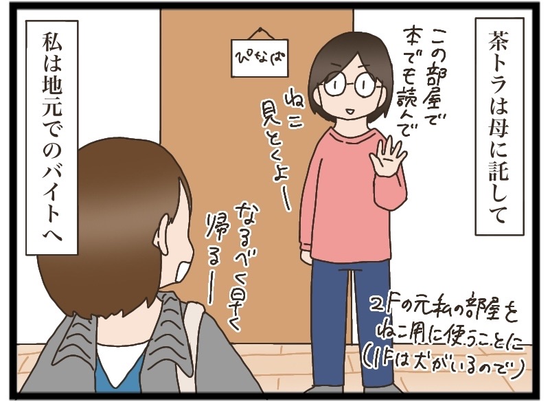 茶トラの人馴れ④【NNNにロックオンされています】 : 猫の手貸して