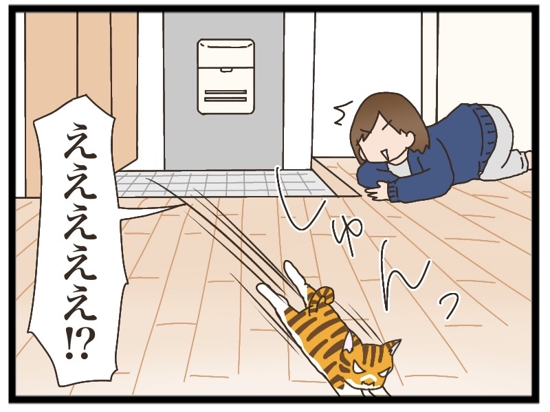 茶トラの人慣れ①【NNNにロックオンされています】 : 猫の手貸して