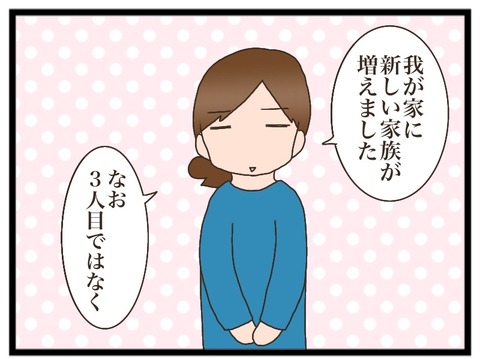 A8950BA2-4448-4D58-BFDA-56D30761A4D2