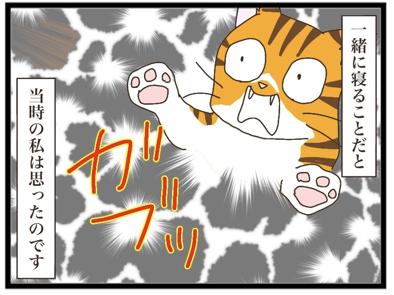 茶トラの人馴れ⑤【NNNにロックオンされています】 : 猫の手貸して