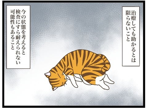 【お気に入り】 80294c38-s.jpg イラスト