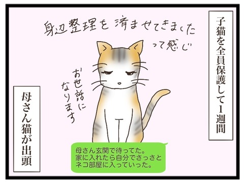 A0AFC79D-EBD6-463D-AD68-48F54A37EAE8