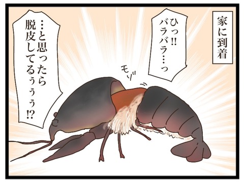 3827E278-B90E-4D2C-A6BA-A908711C8234