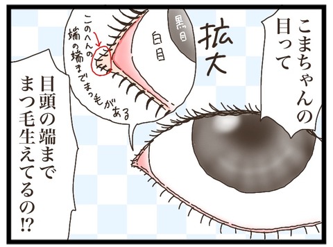 A9A6B6CA-9538-4D0E-A684-F3C724BAC199