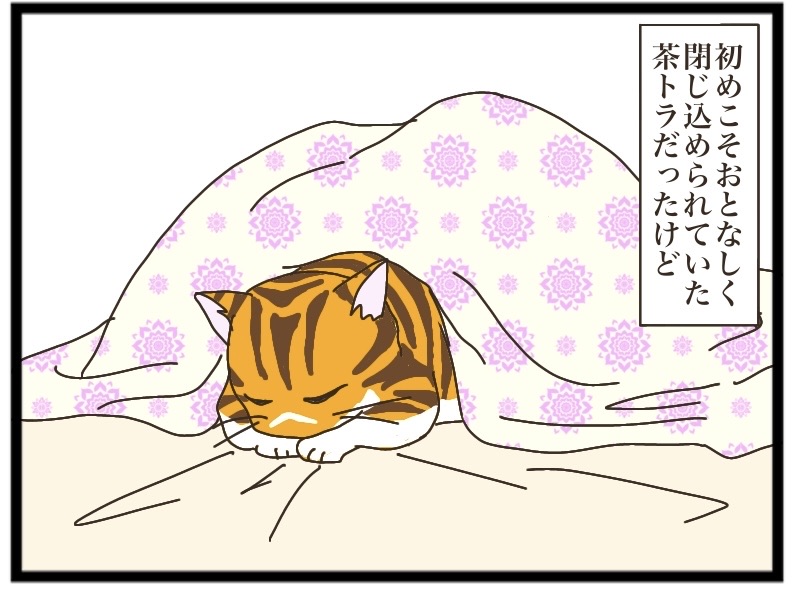 キジトラとの出逢い③【NNNにロックオンされています】 : 猫の手貸して