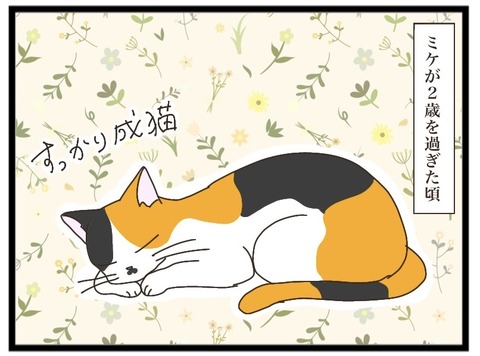 次のターゲット①【NNNにロックオンされています】 : 猫の手貸して