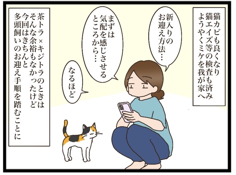 NNNからの使者⑤【NNNにロックオンされています】 : 猫の手貸して