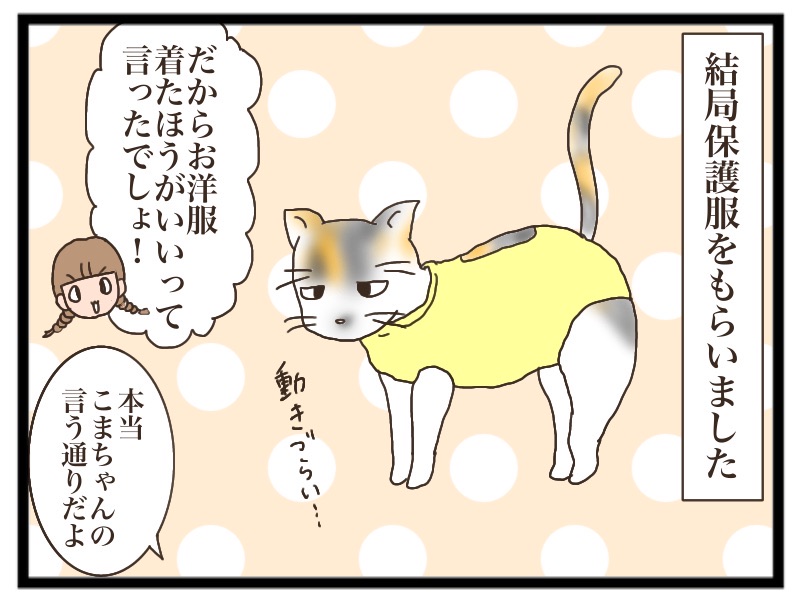 猫 避妊 手術 傷口 なめる
