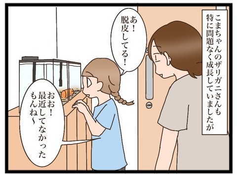 CEB7E5E6-BC52-420A-80C6-72F59FFCF5F7