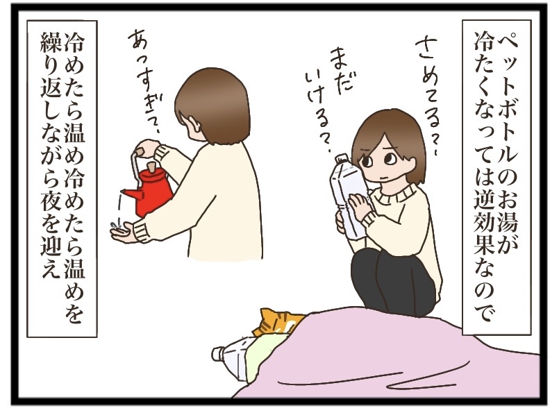茶トラとの出逢い編⑥【NNNにロックオンされています】 : 猫の手貸して