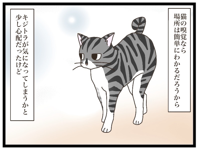 茶トラとのお別れ⑤【NNNにロックオンされています】 : 猫の手貸して