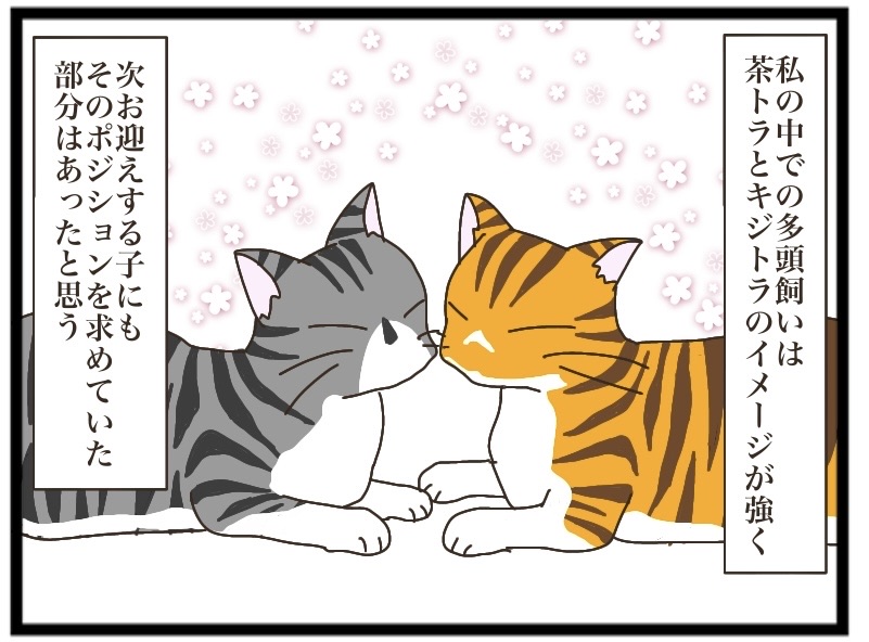 nono様 ご相談ページ NNNからの使者⑥【NNNにロックオンされています】 : 猫の手貸して