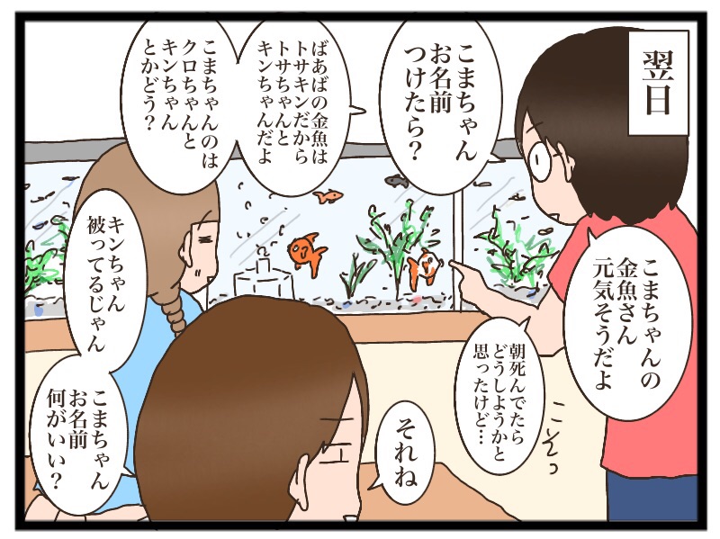 金魚の名前 猫の手貸して Powered By ライブドアブログ