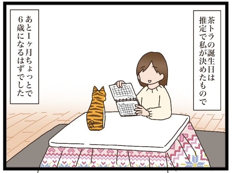 茶トラとのお別れ④【NNNにロックオンされています】 : 猫の手貸して