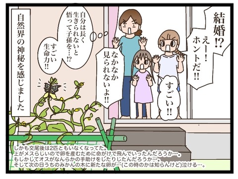 4C154B86-30BF-4EB1-9E5D-D942B58E955B