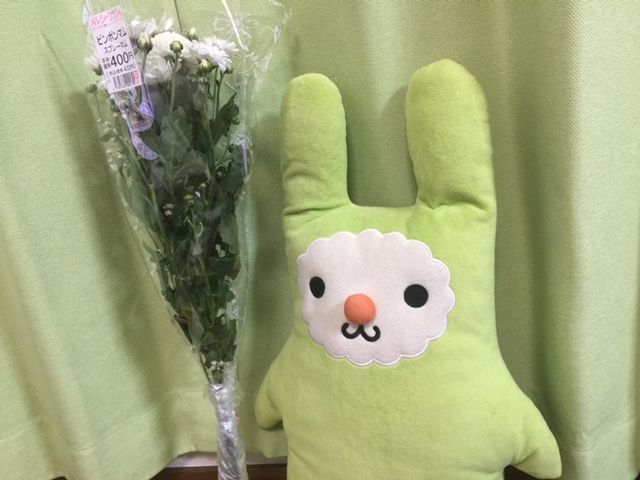 ピンポンマムとは ピンポンマムファミリー ピンポンマムとは ピンポンマムファミリー