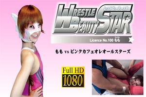 pbsl-0100b