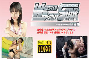 pbsl-002ex b