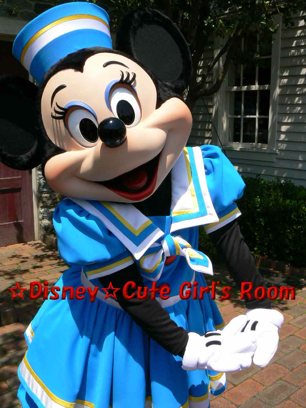 愛しのケープちゃん Disney Cute Girls Room 愛しのケープちゃん Disney Cute Girls Room