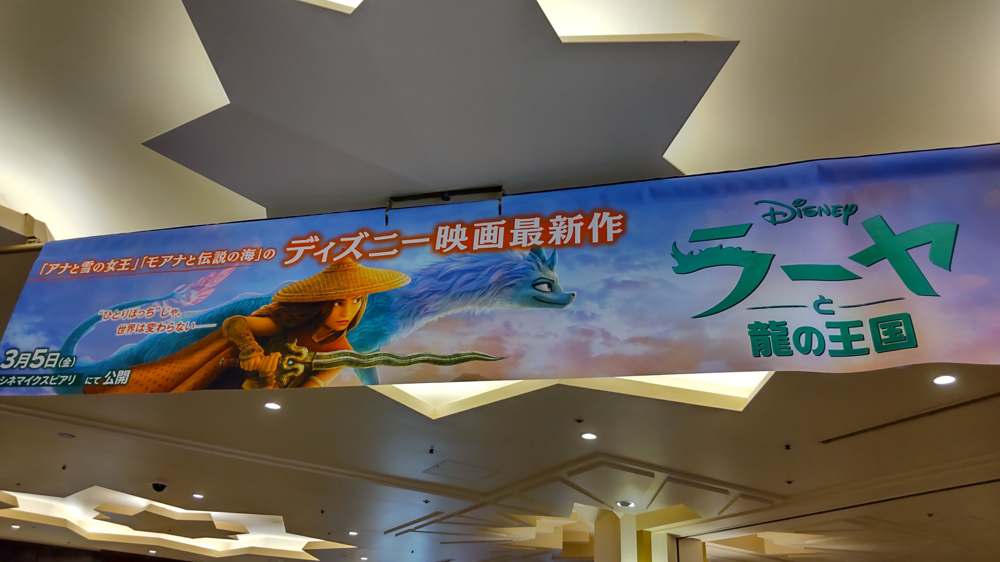 ラーヤと龍の王国 Disney Cute Girls Room ラーヤと龍の王国 Disney Cute Girls Room