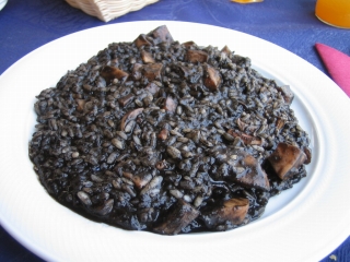 ¥¤¥«Ëϥ꥾¥Ã¥È