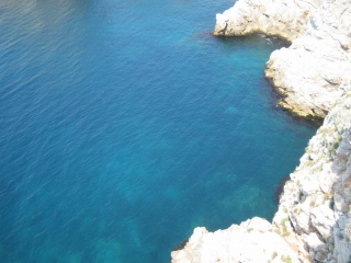 ¾ëÊɤ«¤é³¤¤òÇÁ¤¯¤È