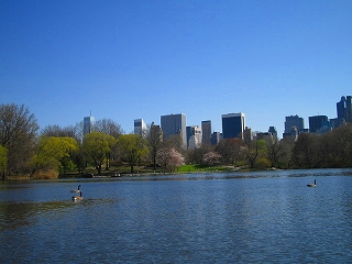 Central Park in New York