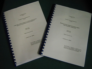 Dissertation´°À®Èǡʣ²¿Íʬ¡Ë