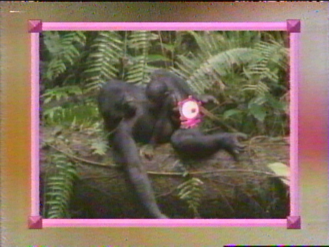 超！暇宣言！！テレビだ～い好きィ！！！ぼのぼの