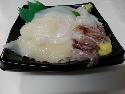 十六家イカづくし丼(500円)