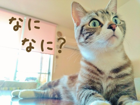 サンドラ大安くじ当選番号発表は?景品交換方法は?