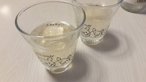 2遠野風の丘ホップソーダ