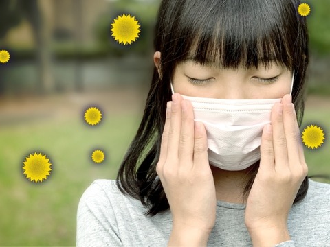 体験談花粉症の目薬「目」と「鼻」に良かった話アルガード クリアマイルドEXaレビュー】