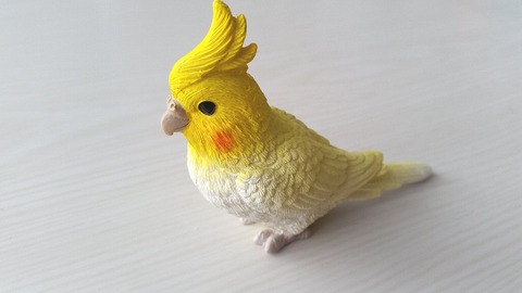 1セリアインコグッズリアルオカメインコ