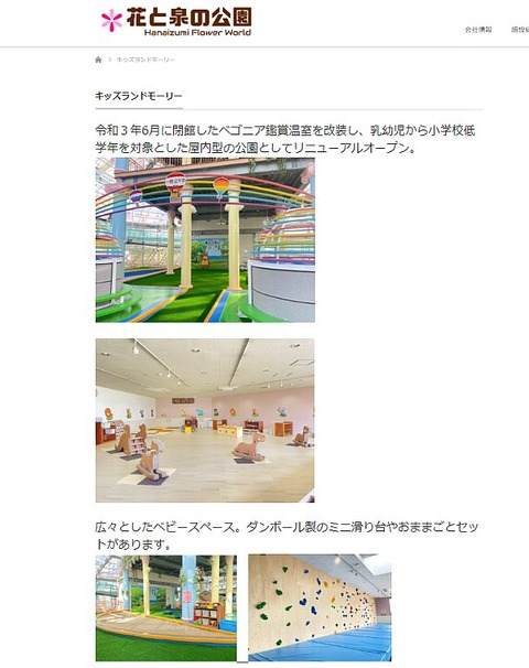 一関花と泉の公園キッズランドモーリー入場券