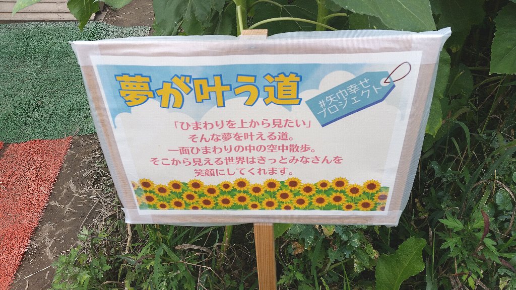 21年8月 矢巾町にある 煙山ひまわりパーク が 想像以上にヒマワリが咲いていた という写真付き感想文 ぴんくぴっぐ備忘録 岩手盛岡生活ブログ