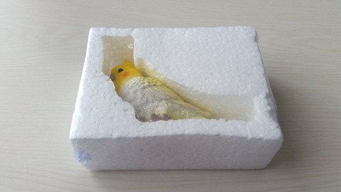 0セリアインコグッズリアルオカメインコ