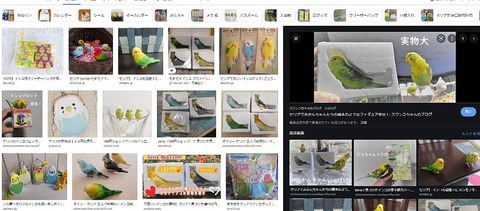 2セリアインコグッズリアルオカメインコ