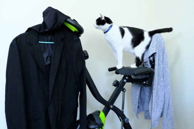 なんかやる気が出ない は 運動不足かも という話 ぴんくぴっぐ備忘録 岩手盛岡生活ブログ