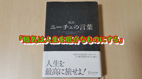 ニーチェの名言 短気は人生を厄介なものにする おすすめの本 ぴんくぴっぐ備忘録 岩手盛岡生活ブログ